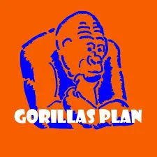 Gorillas Plan – Freiburg stimmt ein