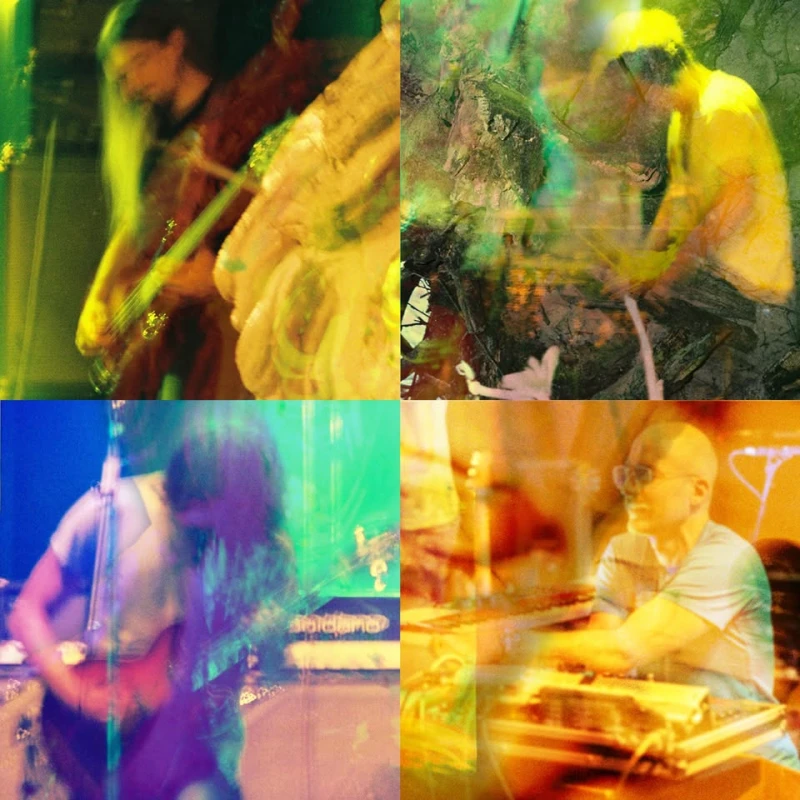 Colour Haze - Live 2026 – Jazzhaus