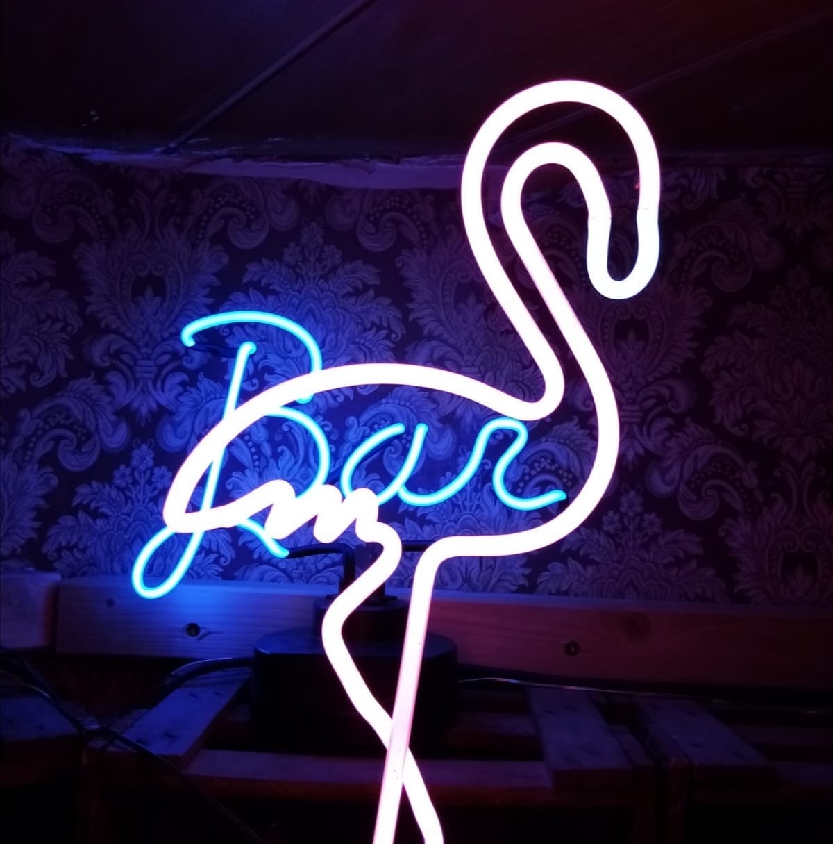 szene-Radar im Flamingo in Freiburg im Breisgau