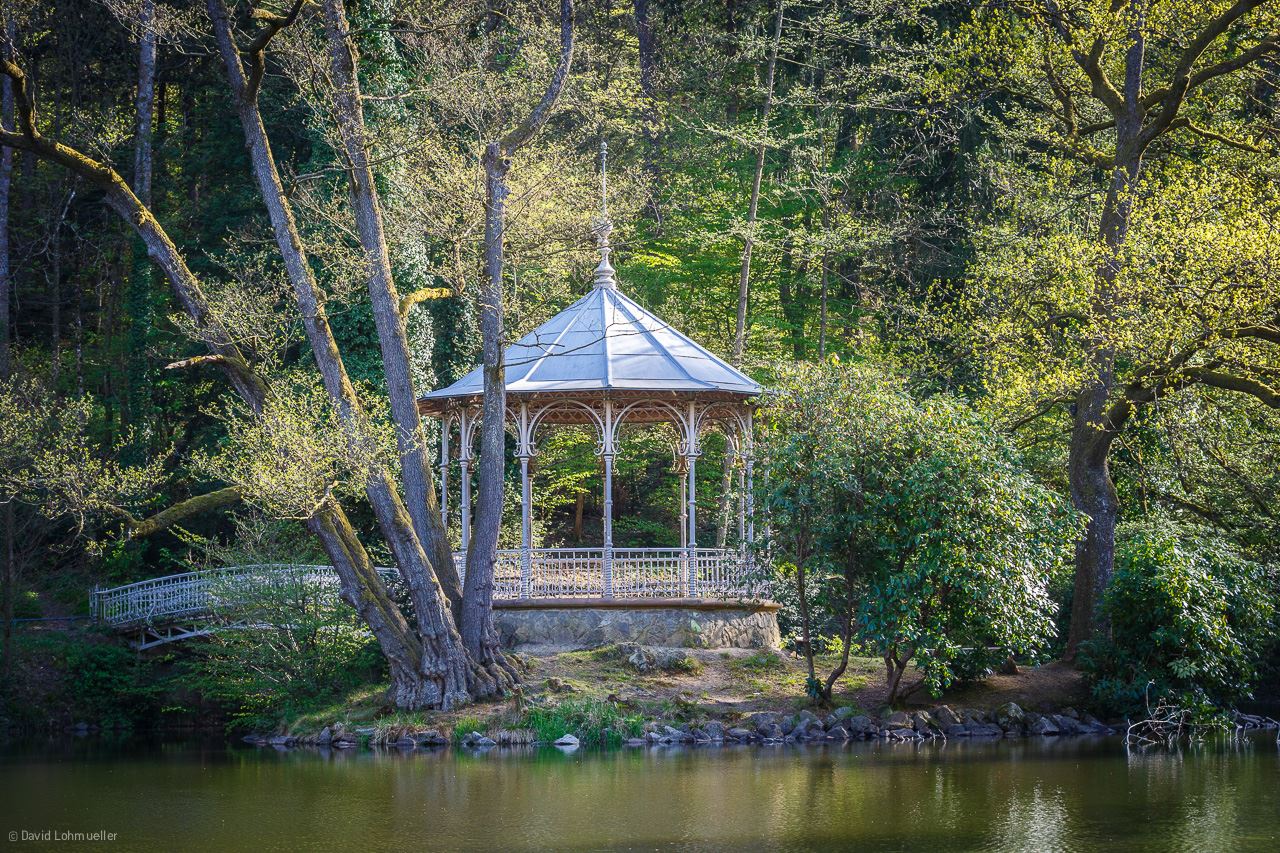 szene-Radar - Waldsee in Freiburg im Breisgau
